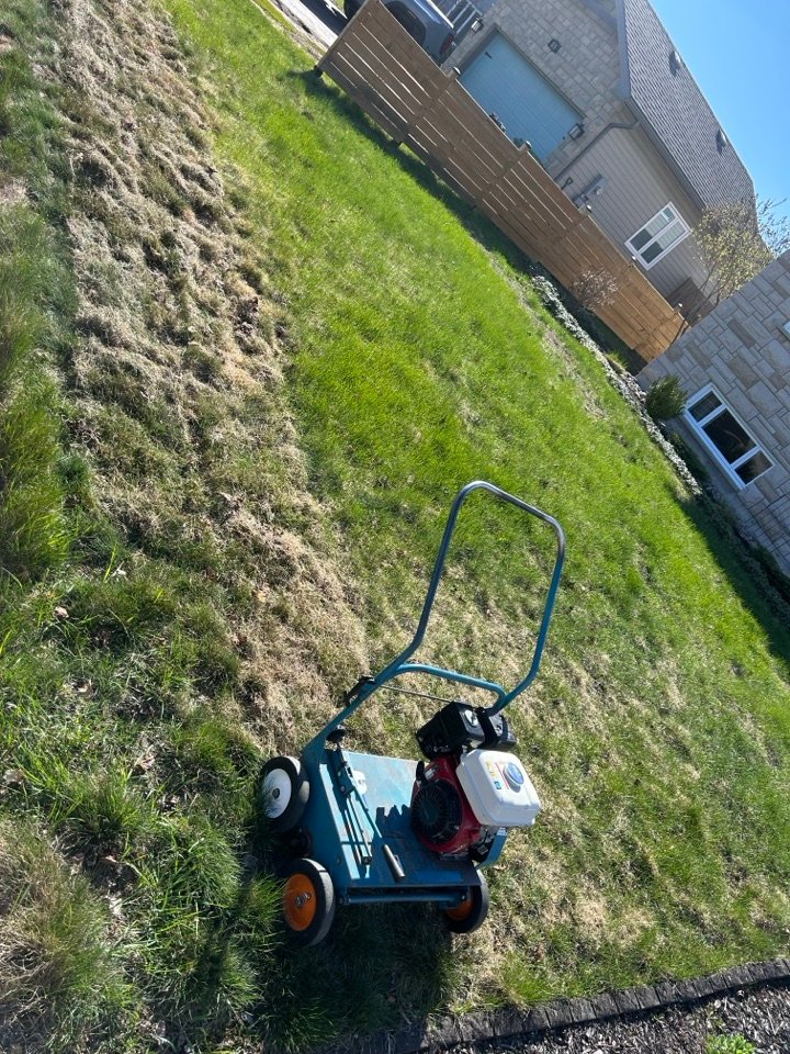 Dethatching a lawn with a power rake