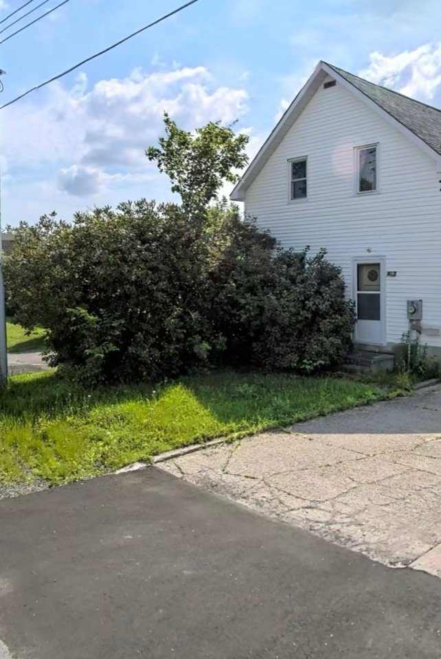 Overgrown shrub crowding a house before removal
