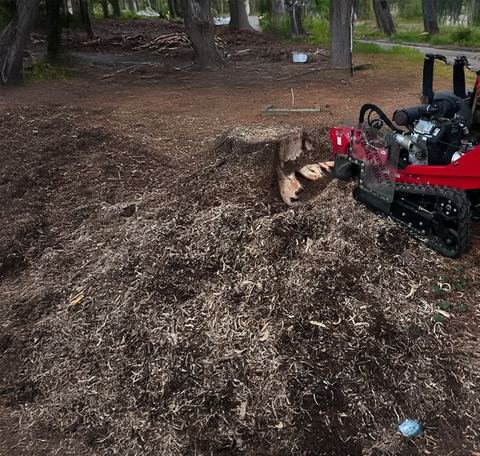 Stump grinder clearing a stump down to wood chips