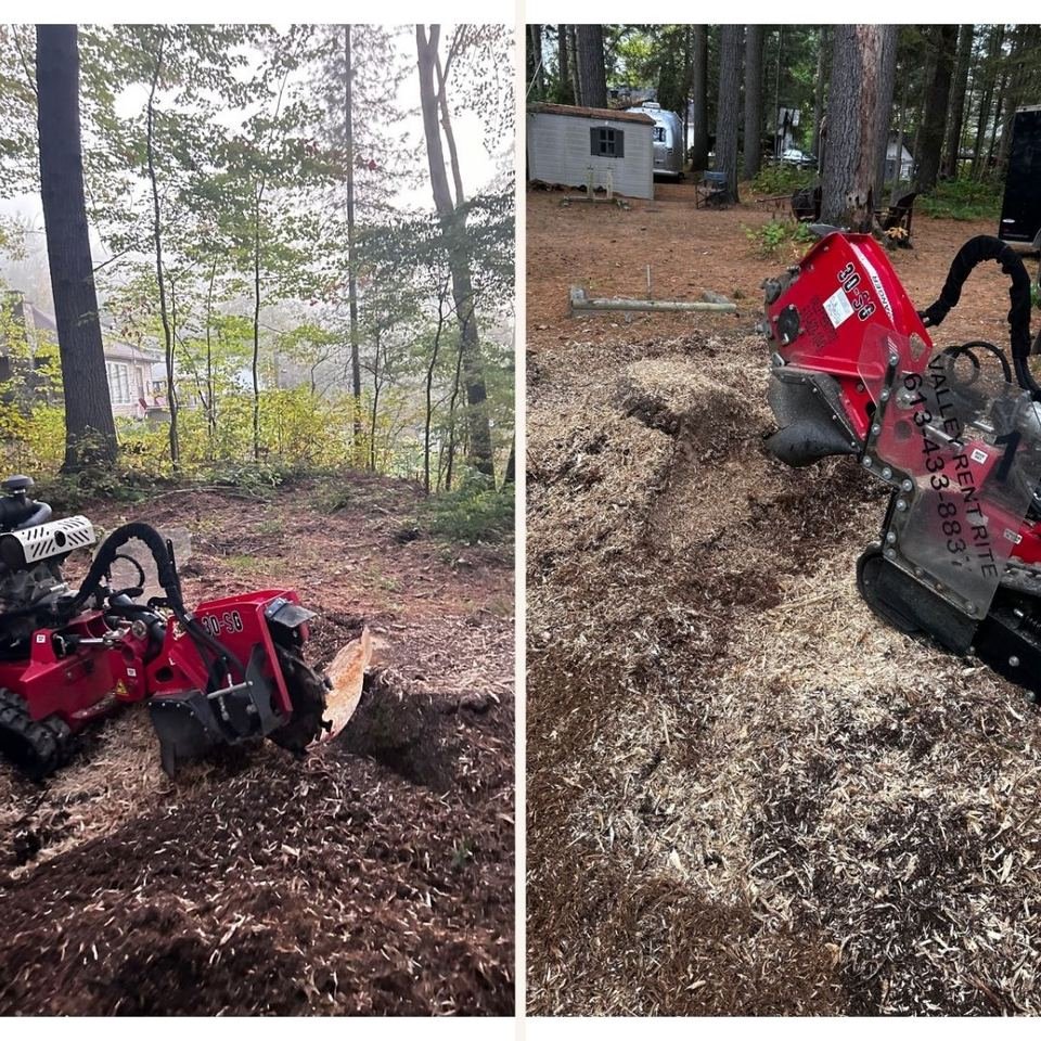 Stump grinding on a residential lawn