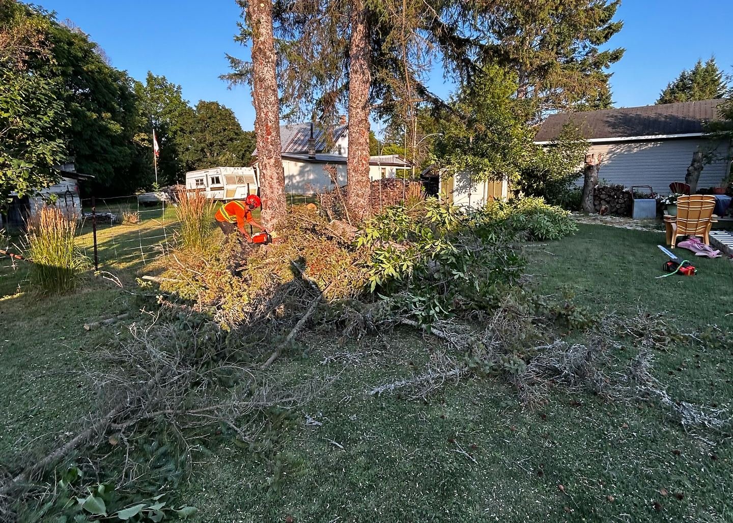 Crew felling a tree on a rural property