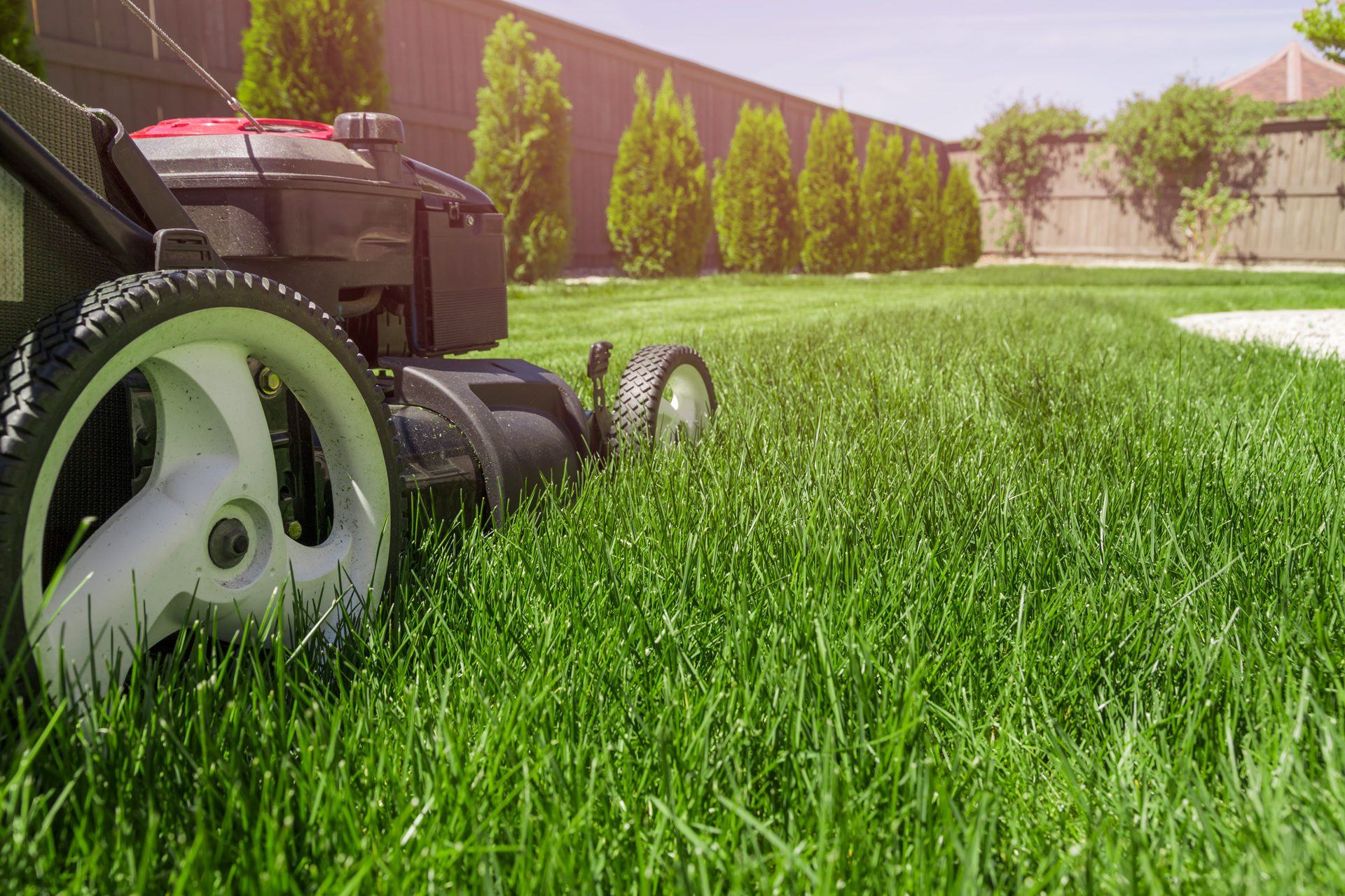 A lawnmower cutting grass